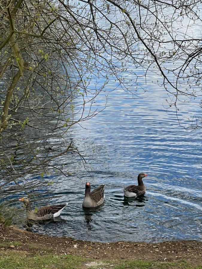 Отель Sunscape Breaks At Tattershall Lakes Экстерьер фото